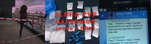 прущие грибы Нефтегорск