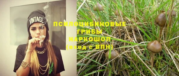 молекула духа Нея