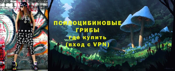молекула духа Нея