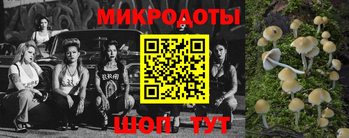 Псилоцибиновые грибы мухоморы Ливны