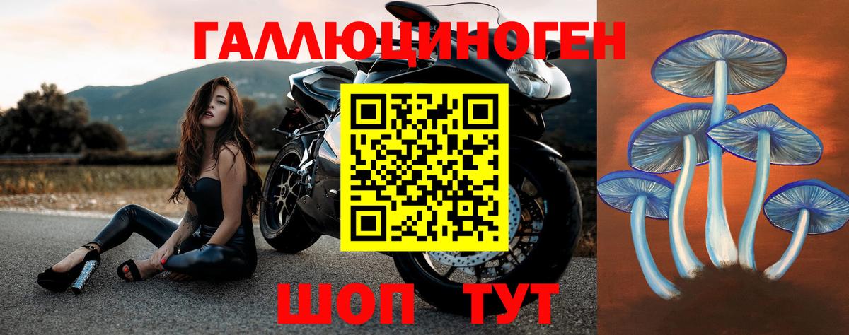 Псилоцибиновые грибы Psilocybe  даркнет сайт  Ливны  Вход с VPN 